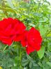 IMG20230625150803