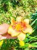 IMG20230627115236