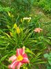 IMG20230625183220