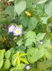 IMG20230625150859
