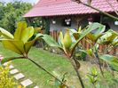 IMG20230627151933