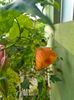 IMG20230628120546
