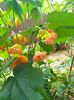 IMG20230628120531