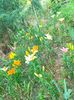 IMG20230628185241