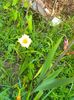 IMG20230628184522