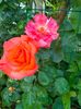 IMG20230628185734