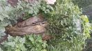 IMG-20230628-WA0007