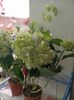 Img.2023.06.21