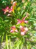 IMG20230629112322