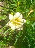 IMG20230629112617