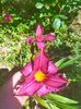 IMG20230629113407