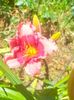 IMG20230629112433