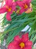 IMG20230703095851