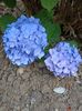 Img.2023.06.30