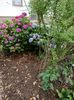 Img.2023.06.30