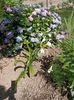 Img.2023.07.03