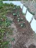 Img.2023.06.12