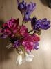 Img.2023.06.12