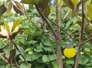 IMG20230705154142