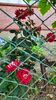IMG-20230704-WA0021