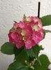 IMG20230622113551