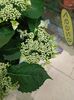 IMG20230630102457