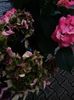 IMG20230701115250