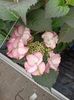 IMG20230701115346