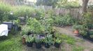 received_1454604222014879