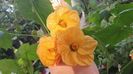 received_170319149359104