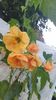 received_210812728581638