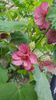 received_566538482115596
