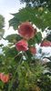 received_663795215209476
