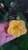 received_594658972816328