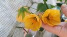 received_734793775089824