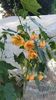 received_952741345990809