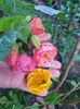 received_976425283693512