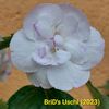 Img-2023.06.28