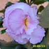 IMG-20230630