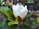 IMG20230714204601