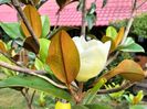 IMG20230714084923