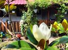 IMG20230717145513