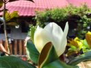 IMG20230717145509