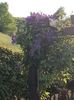 Img.2023.07.11