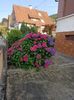 Img.2023.07.11