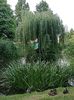 Img.2023.07.14
