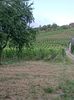 Img.2023.07.14
