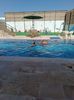 IMG-20230728-WA0049
