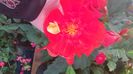 IMG-20230725-WA0041