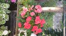 IMG-20230725-WA0053